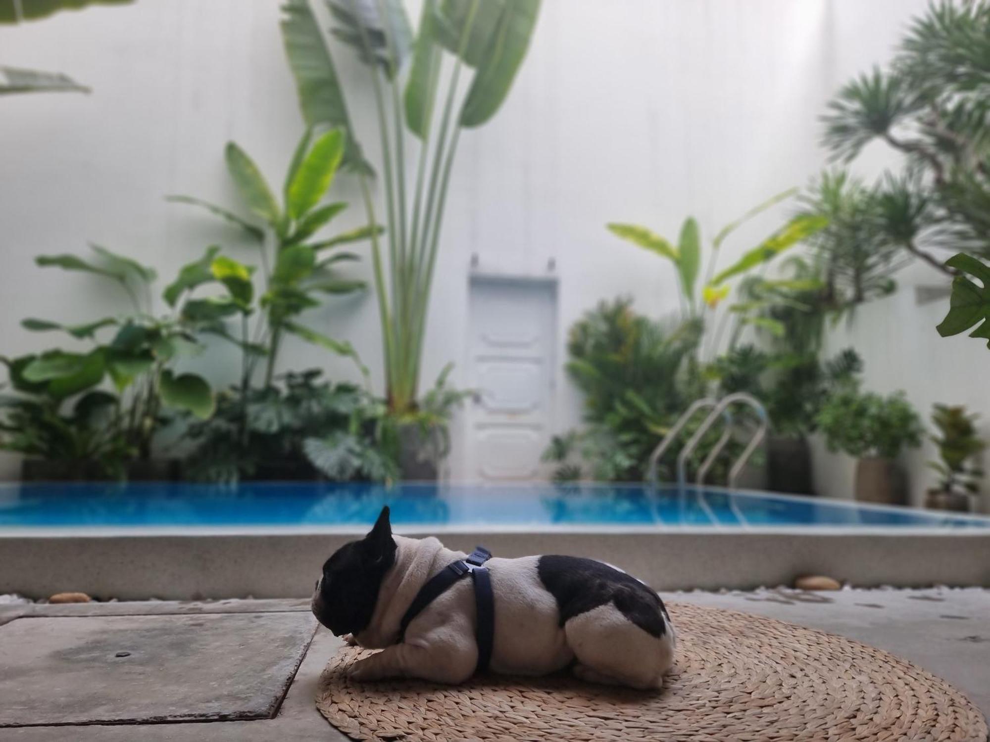 Ferienwohnung Lada'S House Đà Nẵng Exterior foto